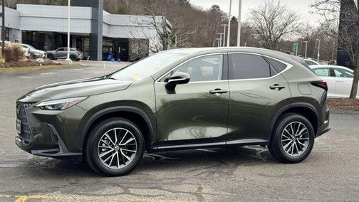2025 Lexus NX 350h Premium