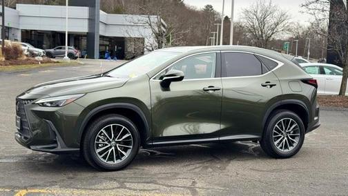 2025 Lexus NX 350h Premium