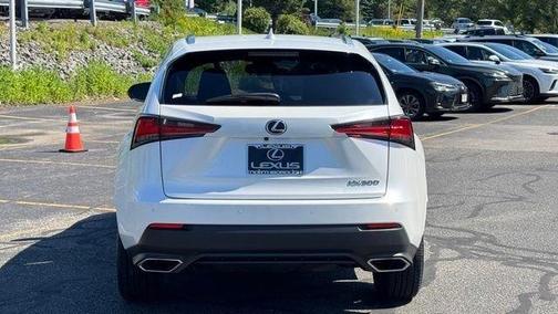 Eminent White Pearl 2020 Lexus NX 300 Base