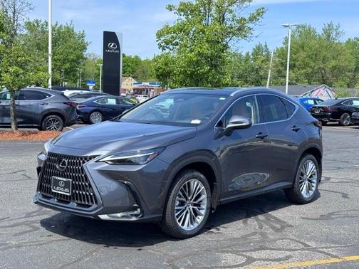 2025 Lexus NX 350 Luxury