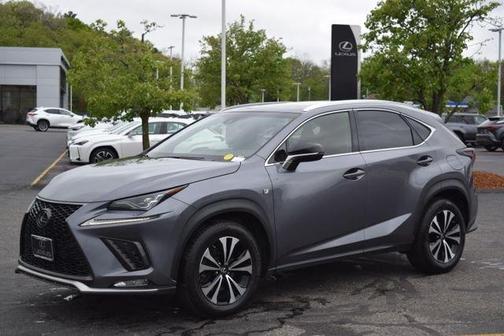 Nebula Gray Pearl 2019 Lexus NX 300 F Sport