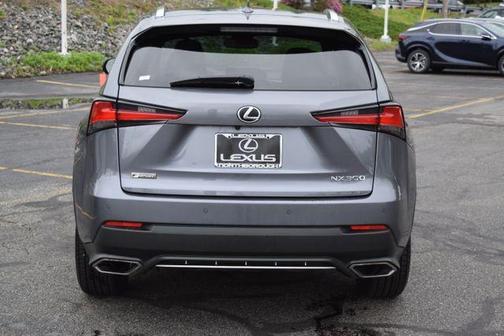 Nebula Gray Pearl 2019 Lexus NX 300 F Sport