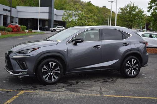 Nebula Gray Pearl 2019 Lexus NX 300 F Sport