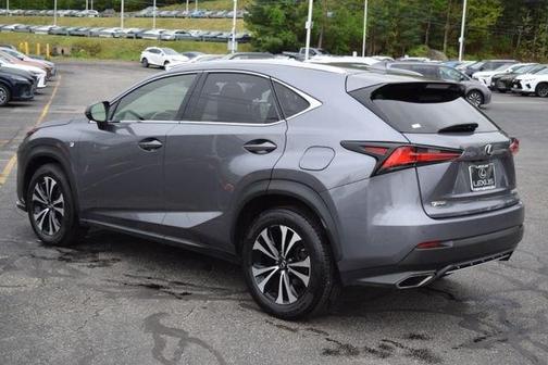 Nebula Gray Pearl 2019 Lexus NX 300 F Sport