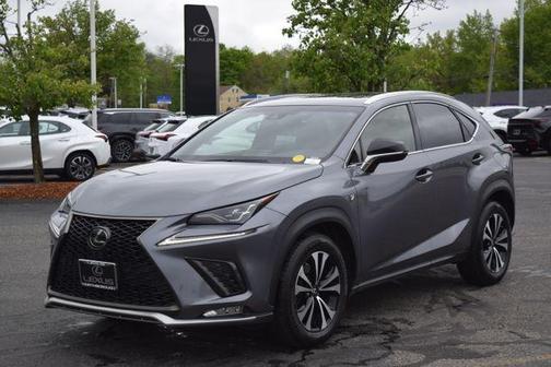 Nebula Gray Pearl 2019 Lexus NX 300 F Sport