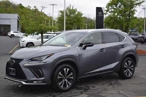 Nebula Gray Pearl 2019 Lexus NX 300 F Sport