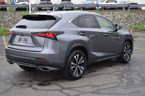 Nebula Gray Pearl 2019 Lexus NX 300 F Sport