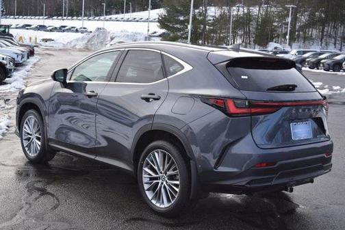 2024 Lexus NX 350h Luxury