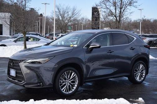 2024 Lexus NX 350h Luxury