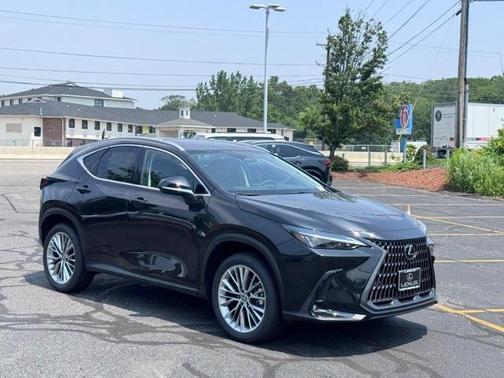 2025 Lexus NX 350 Premium