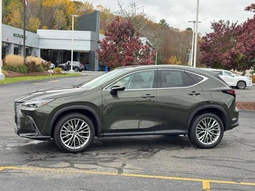 2025 Lexus NX 350 Premium
