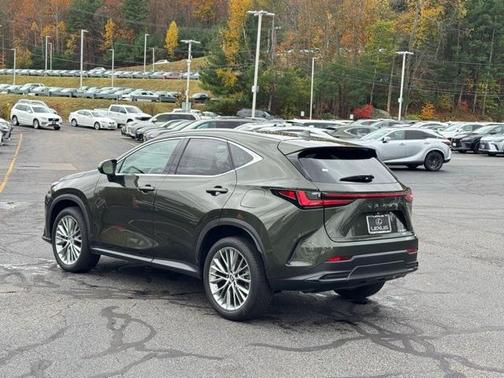 2025 Lexus NX 350 Premium