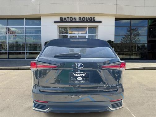 2021 Lexus NX 300h 300H