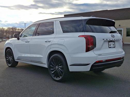 2025 Hyundai PALISADE Calligraphy Night Edition