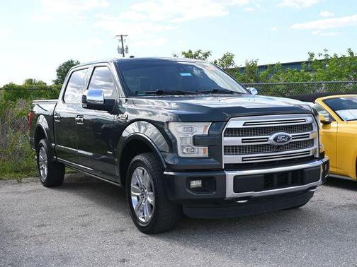 Guard Metallic 2015 Ford F-150 Platinum