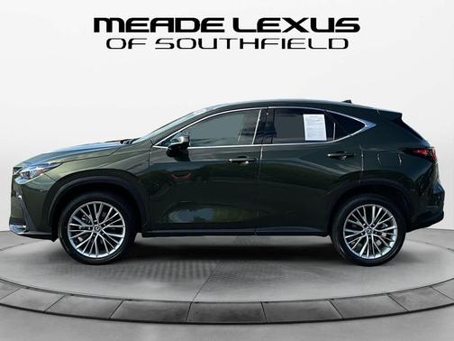 2025 Lexus NX 350h Premium