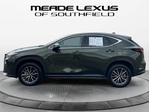 Nori Green Pearl 2025 Lexus NX 350 AWD