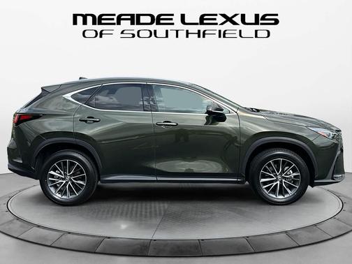 Nori Green Pearl 2025 Lexus NX 350 AWD