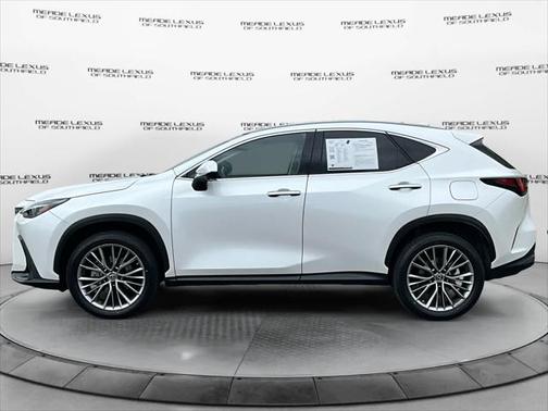 2023 Lexus NX 350 Luxury