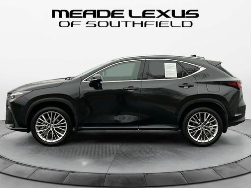 2025 Lexus NX 350 Luxury