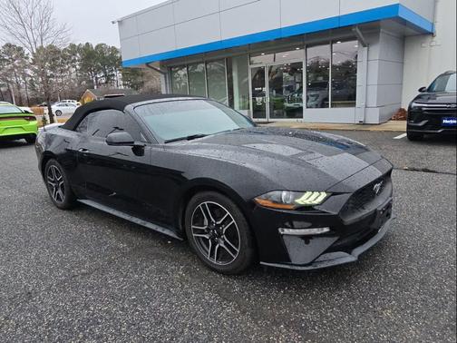 2019 Ford Mustang EcoBoost