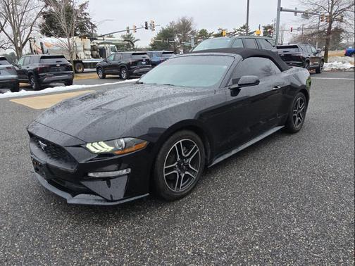 2019 Ford Mustang EcoBoost