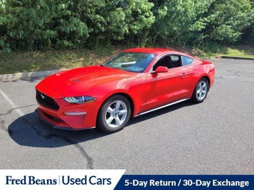 2019 Ford Mustang EcoBoost