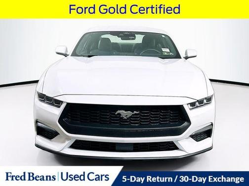 Oxford White 2025 Ford Mustang EcoBoost
