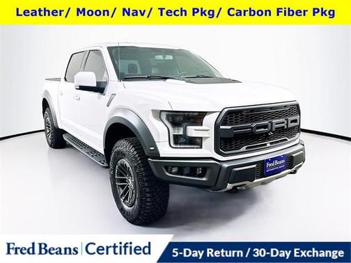 2019 Ford F-150 Raptor