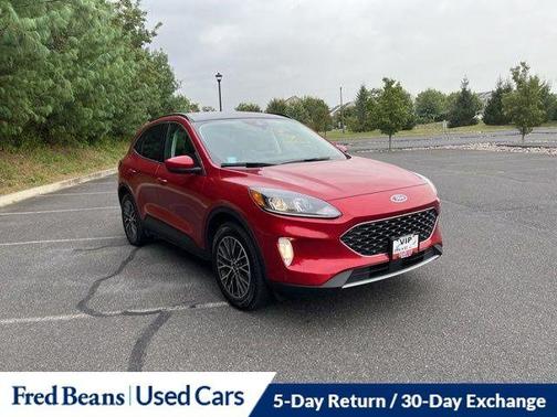 2022 Ford Escape PHEV SEL