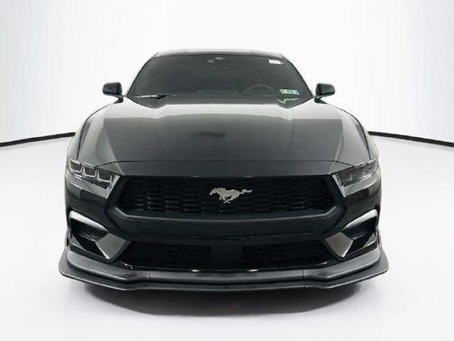 Shadow Black 2025 Ford Mustang EcoBoost