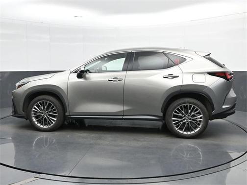 2022 Lexus NX 350h Premium
