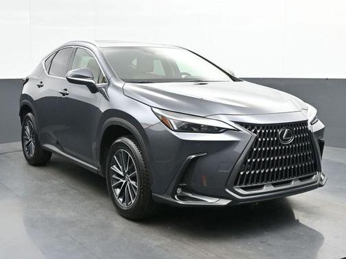 Cloudburst Gray 2025 Lexus NX 250 Premium