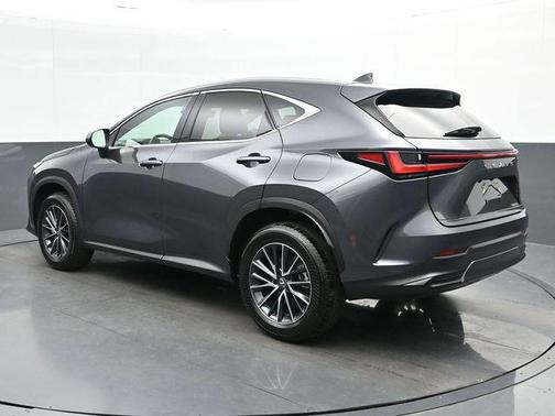 Cloudburst Gray 2025 Lexus NX 250 Premium