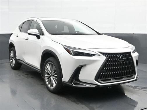 2022 Lexus NX 350h Premium