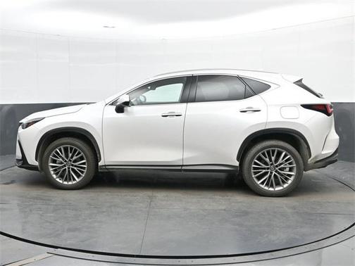 2025 Lexus NX 350h Premium