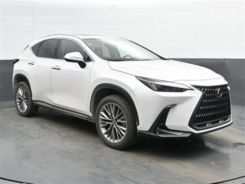 2025 Lexus NX 350h Premium