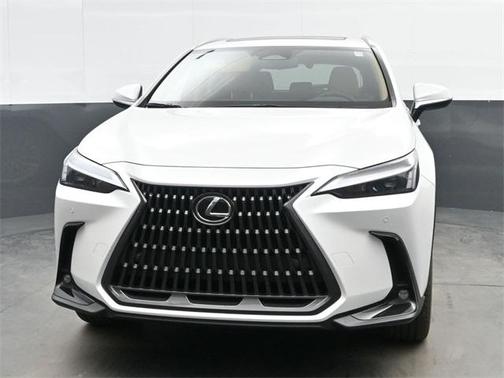 2025 Lexus NX 350h Premium