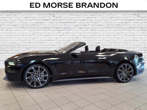 2019 Ford Mustang EcoBoost