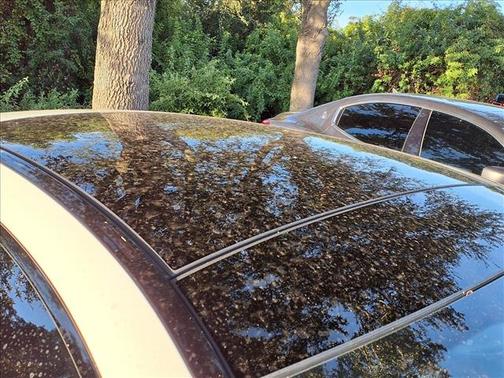 2019 Mercedes-Benz AMG E 53 4MATIC