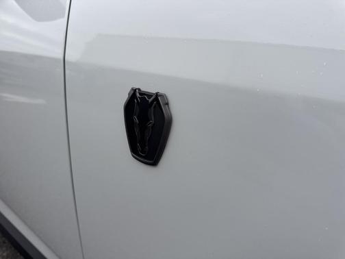 2025 Ford Mustang Dark Horse Fastback