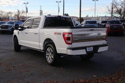 2022 Ford F-150 Platinum