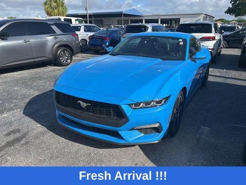 GRABBER BLUE METALLIC 2024 Ford Mustang EcoBoost Premium