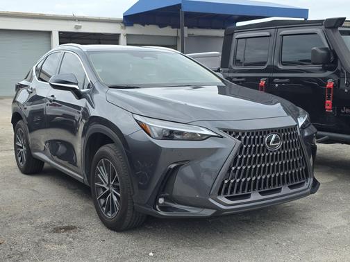 Cloudburst Gray 2025 Lexus NX 250 Premium