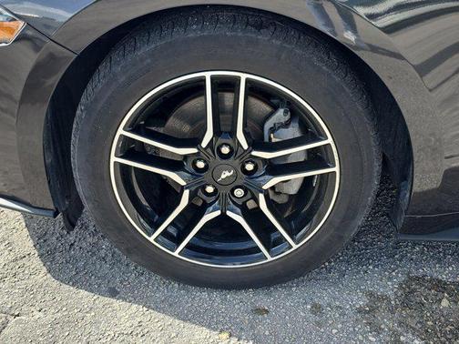 DARK MATTER GRAY METALLIC 2023 Ford Mustang EcoBoost