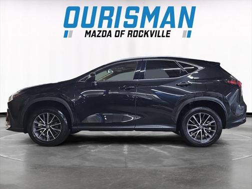 2024 Lexus NX 350 Premium