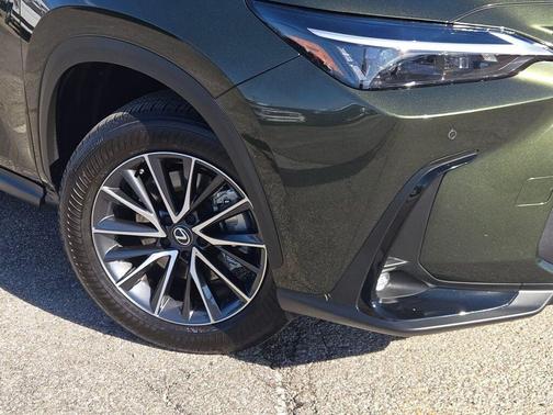 2025 Lexus NX 350h Base