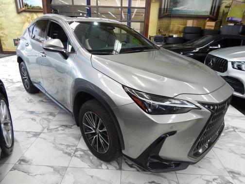 2024 Lexus NX 250 Premium