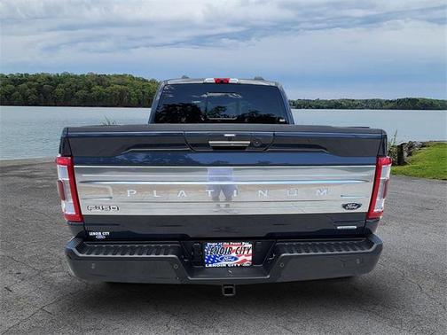 2022 Ford F-150 Platinum