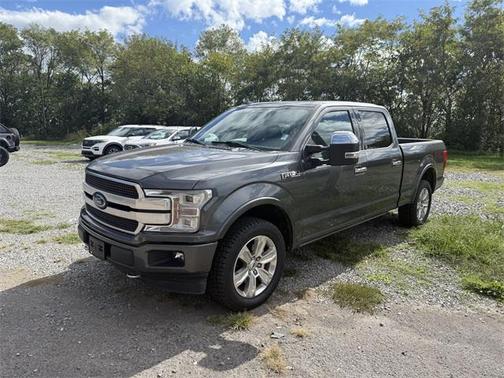 2019 Ford F-150 Platinum